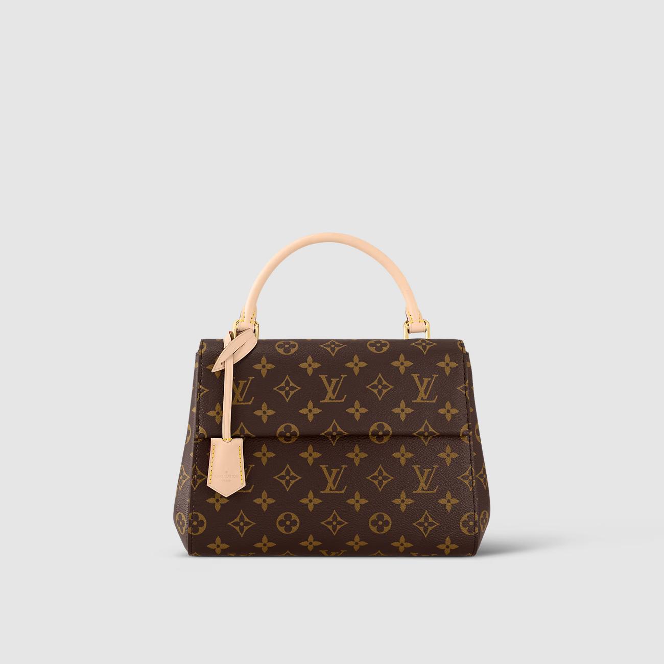 Túi Louis Vuitton Cluny BB